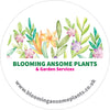 Blooming 'ansome plants